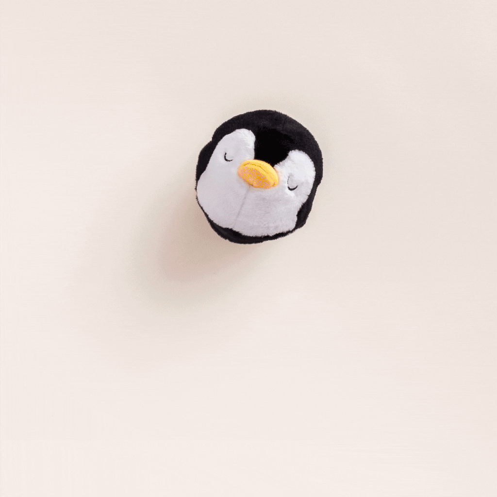 Penguin 2-in-1 Bounce Dog Toy