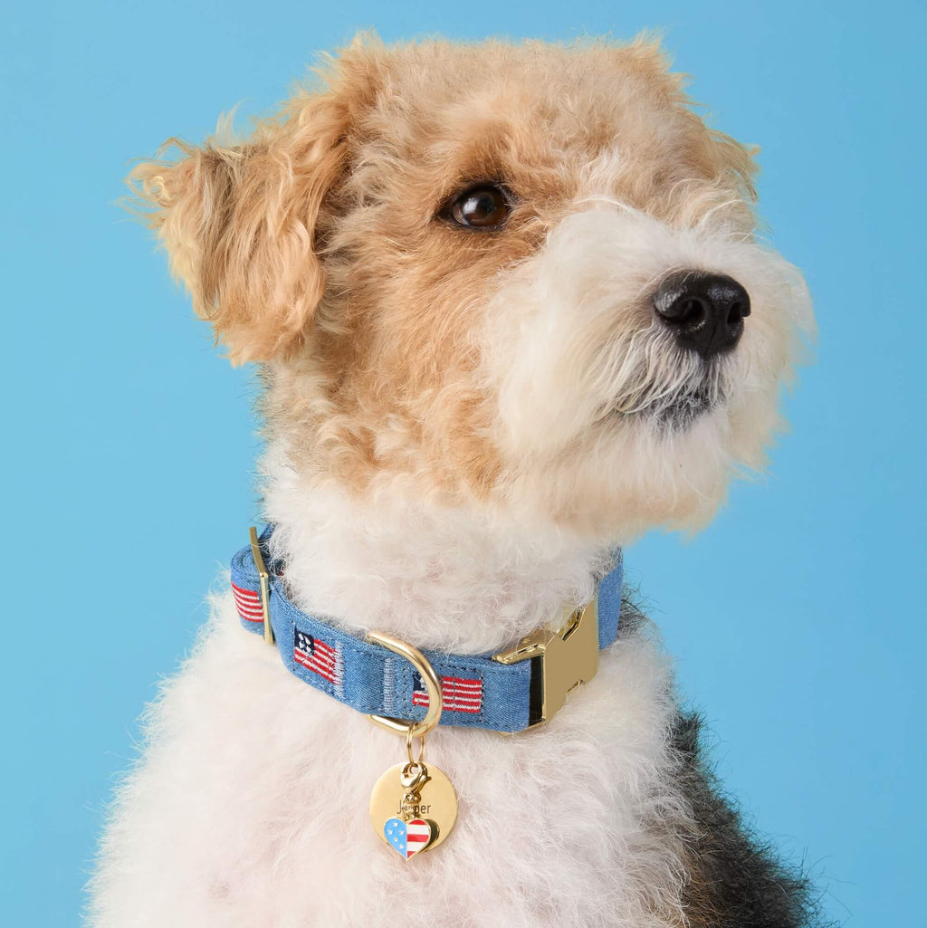 I Heart America Collar Charm