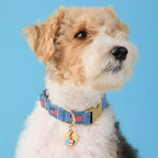 I Heart America Collar Charm