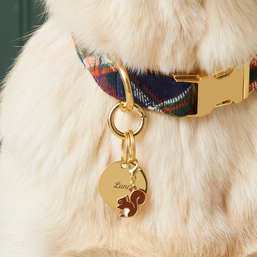 Circle Pet ID Tag