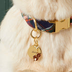 Circle Pet ID Tag