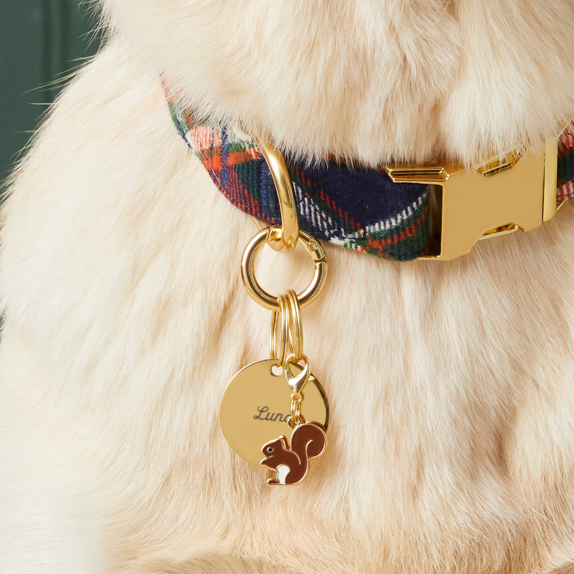 Circle Pet ID Tag