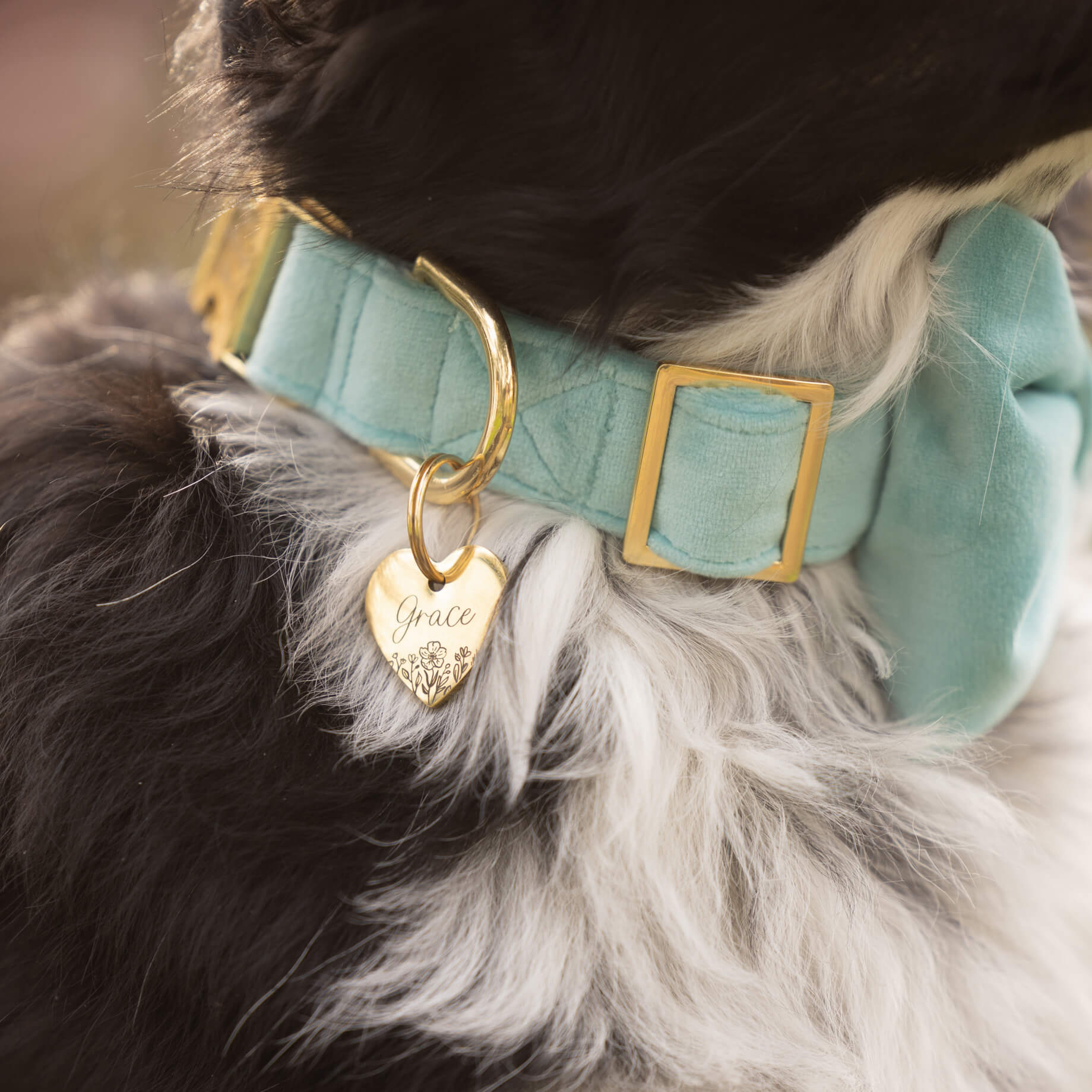 Robin’s Egg Velvet Bow Tie Collar