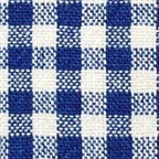 Lake Blue Gingham Collar Walk Set