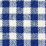 Lake Blue Gingham Collar Walk Set