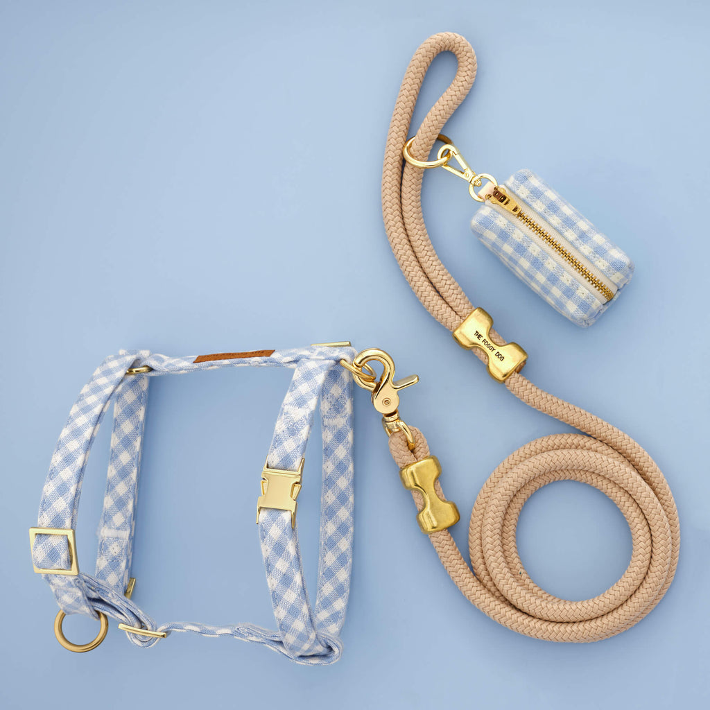 Sky Blue Gingham Harness Walk Set
