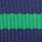 Camden Striped Webbing Collar Walk Set