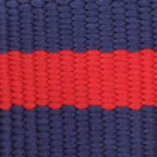 Mariner Striped Webbing Collar Walk Set