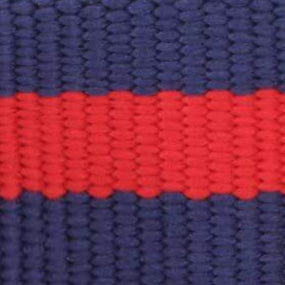 Mariner Striped Webbing Collar Walk Set