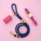 Sloane Striped Webbing Collar Walk Set