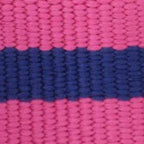 Sloane Striped Webbing Collar Walk Set