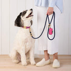 Sloane Striped Webbing Collar Walk Set