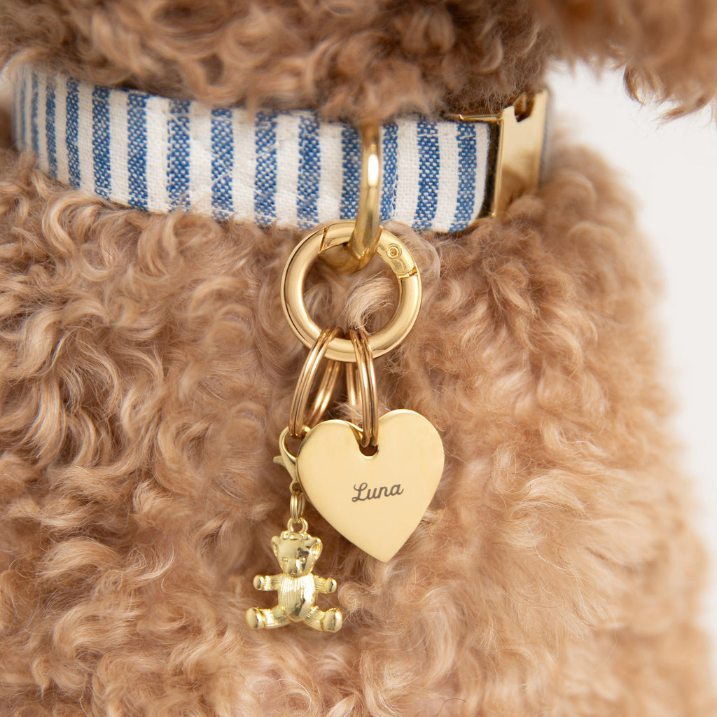 Gold Teddy Bear Collar Charm