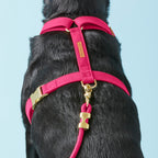 Hot Pink Harness Walk Set