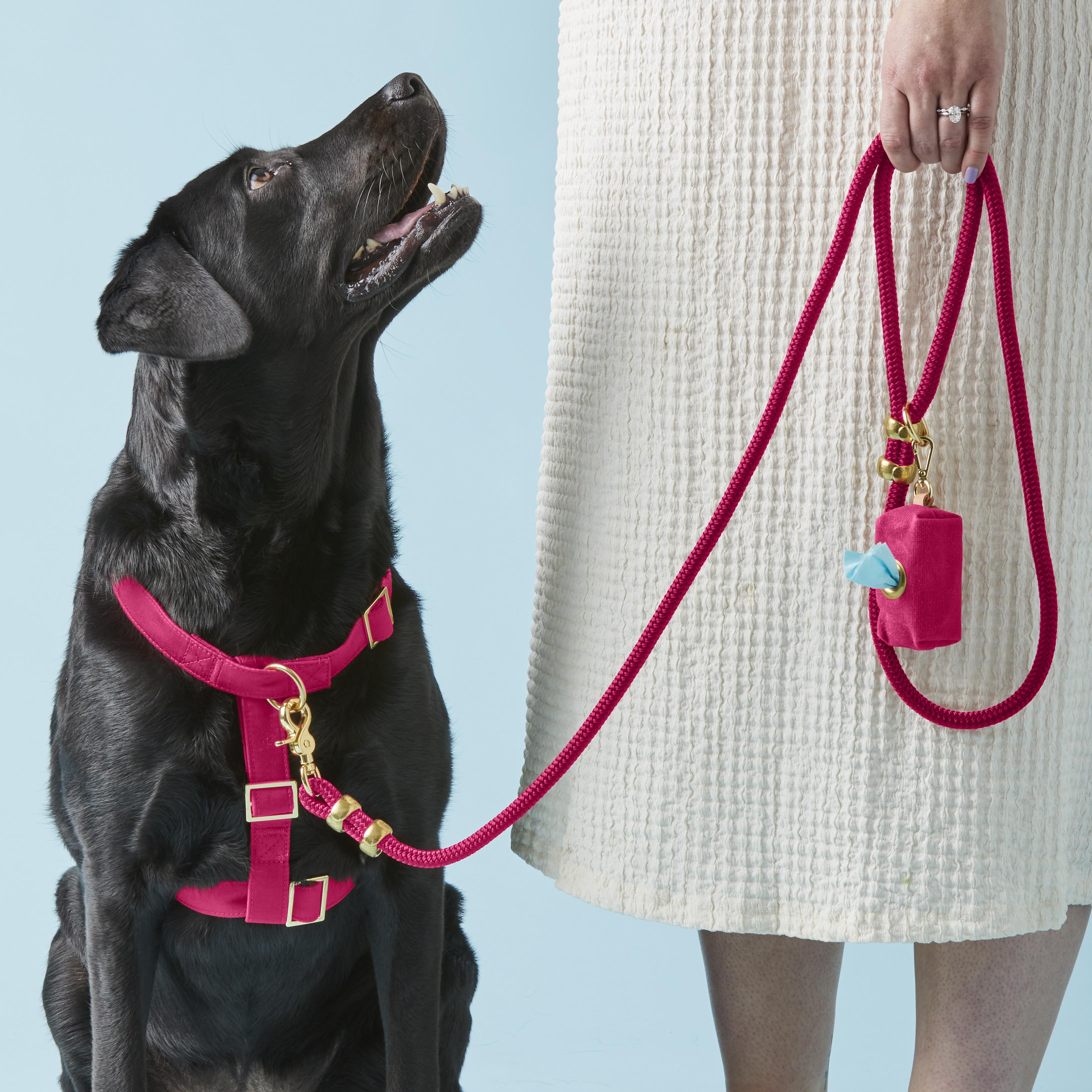 Hot Pink Harness Walk Set