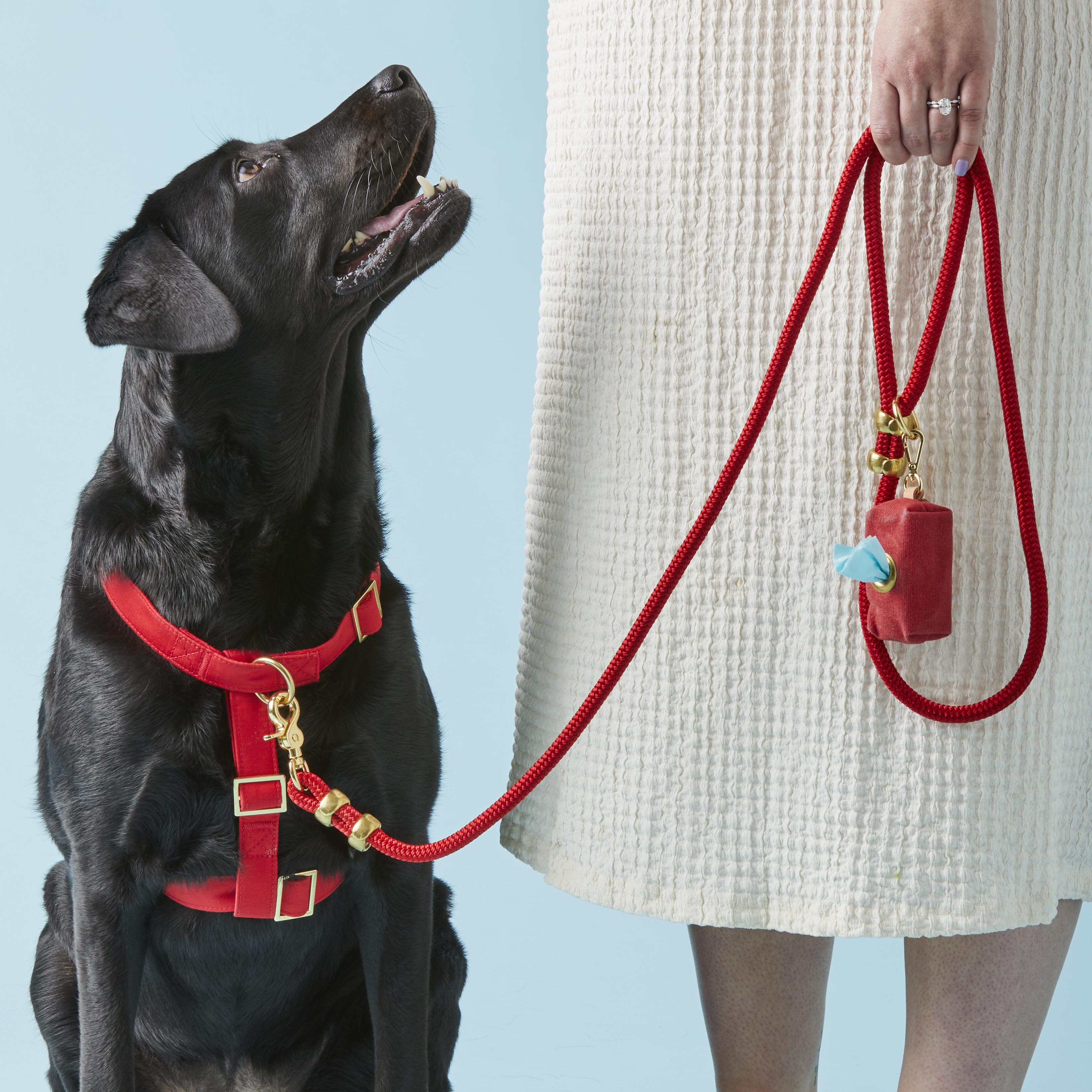 Ruby Harness Walk Set