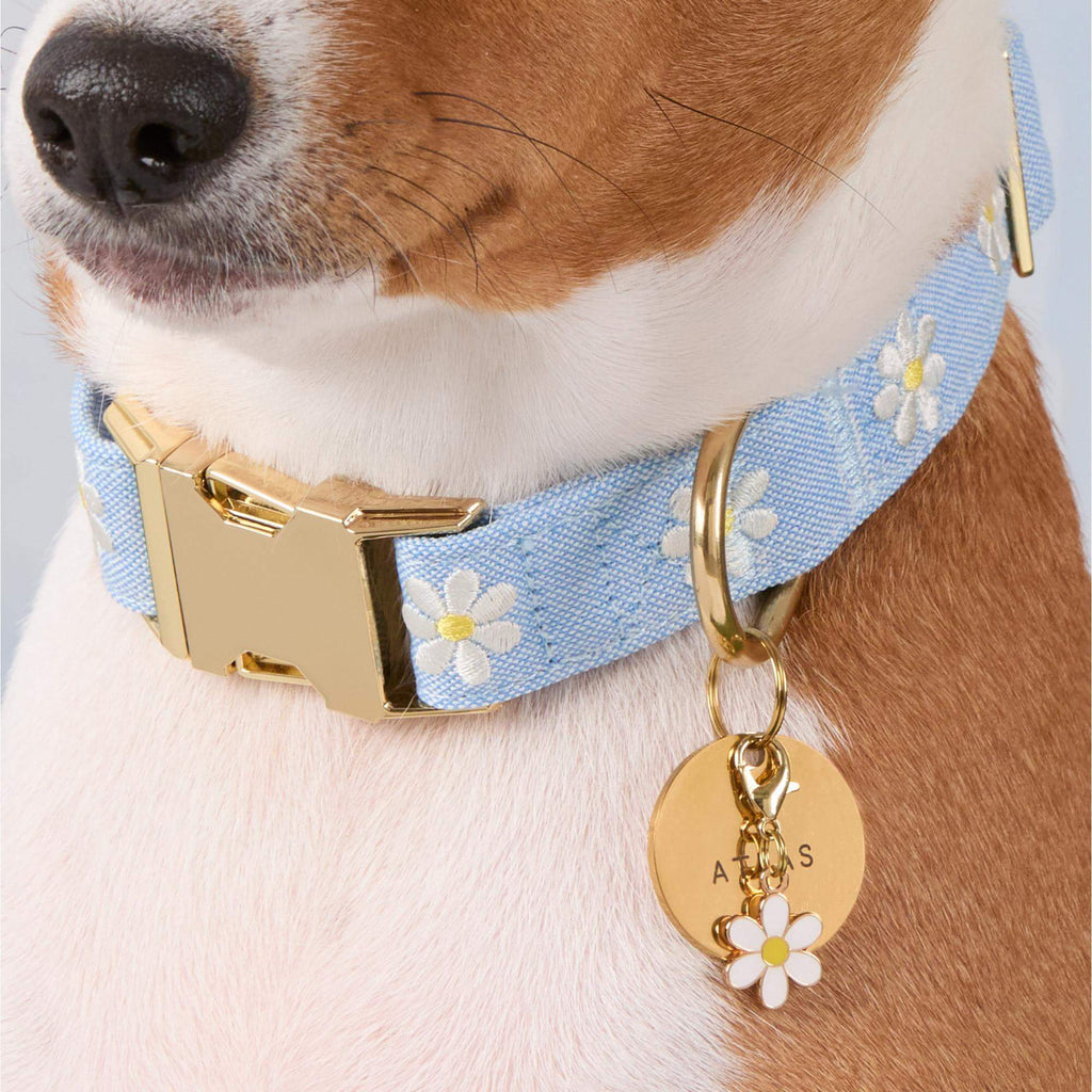 Daisy Collar Charm