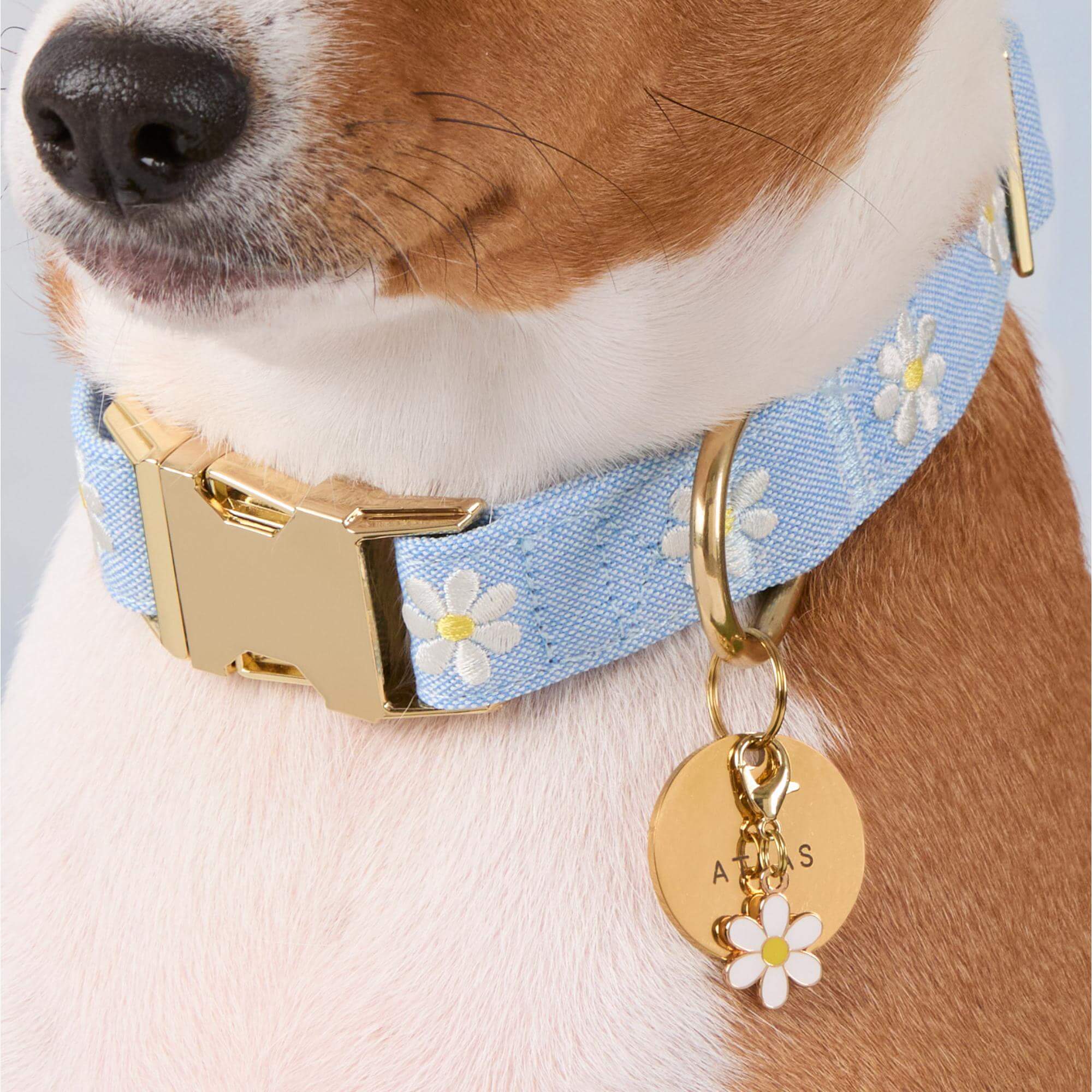 Daisy Collar Charm