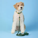 Gone Fishing Collar Walk Set