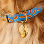 Hot Dog Collar Charm