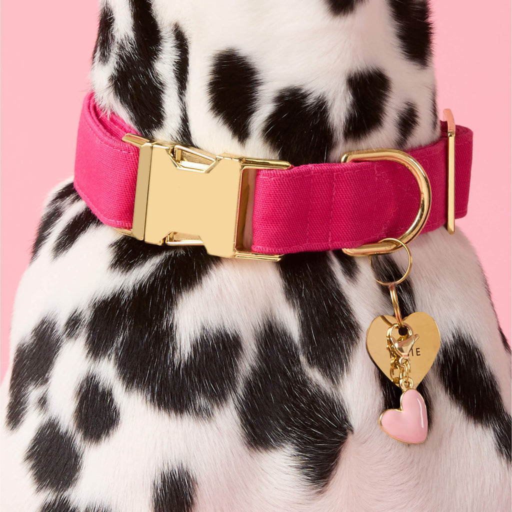 Pink Heart Collar Charm