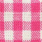Hot Pink Gingham Collar Walk Set