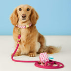 Hot Pink Marine Rope Dog Leash
