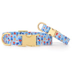 Star-Spangled Scoops Dog Collar