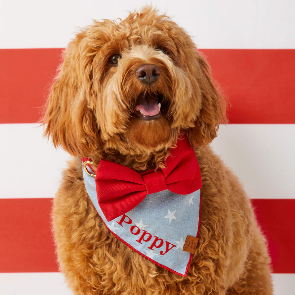 Liberty Dog Bandana