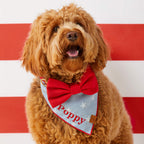Ruby Bow Tie Collar