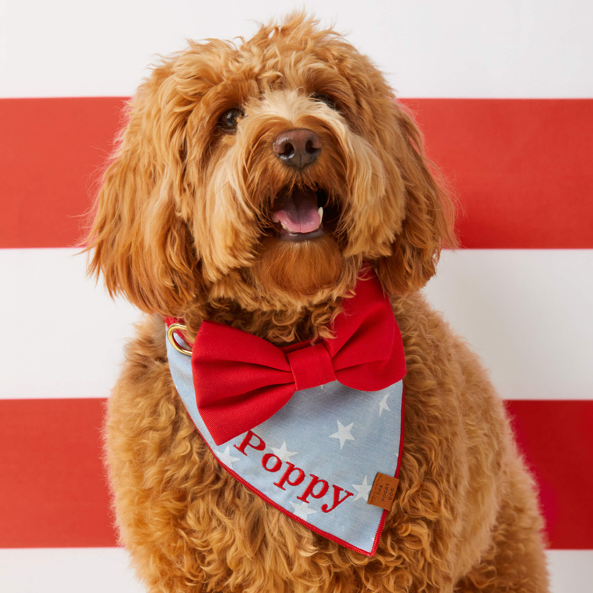 Ruby Bow Tie Collar