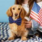 Ocean Bow Tie Collar