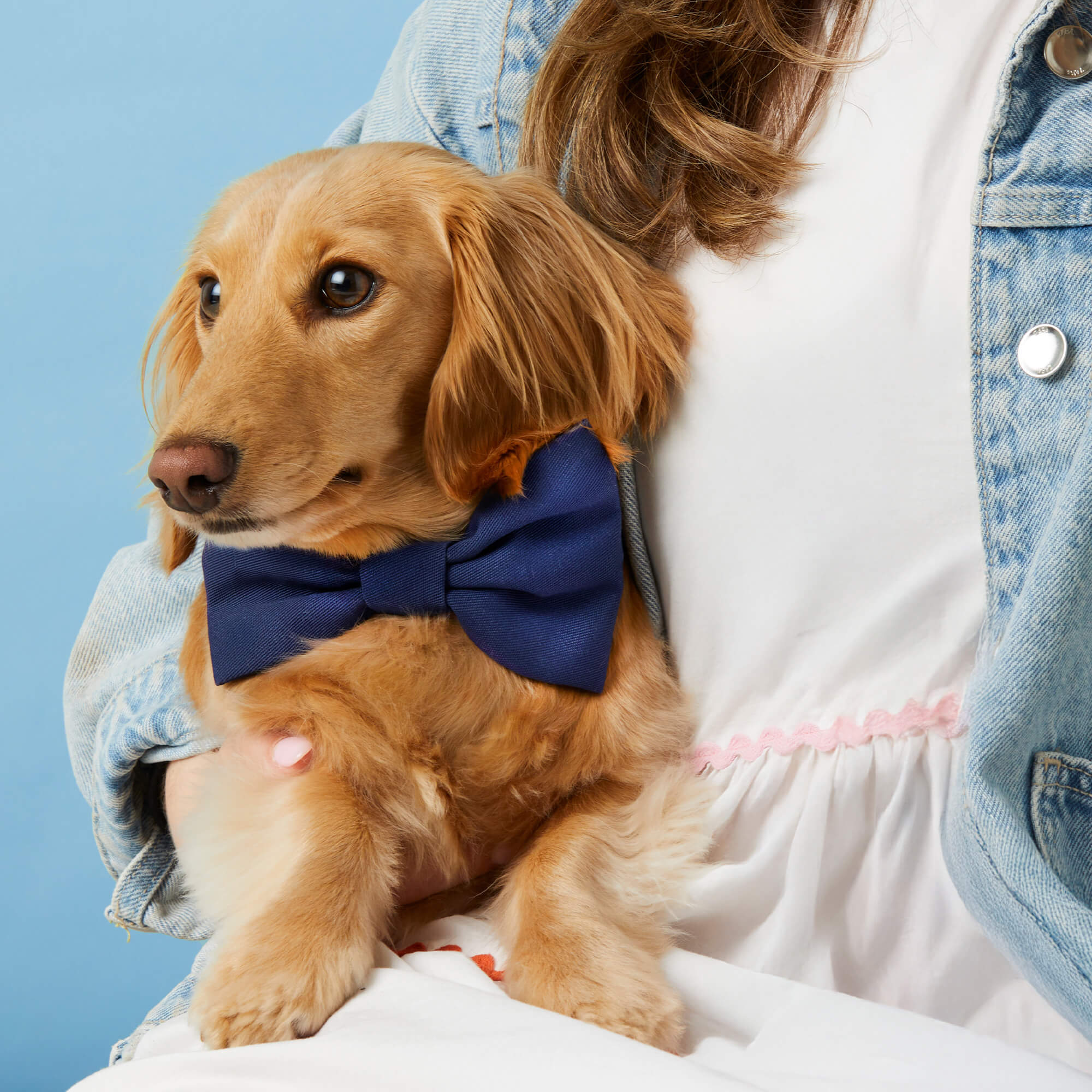 Ocean Dog Bow Tie