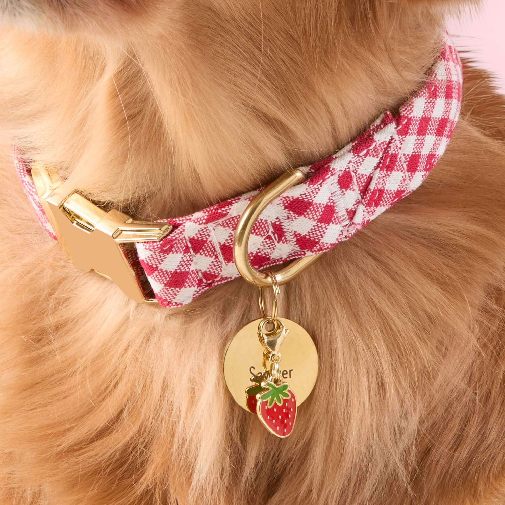 Strawberry Collar Charm