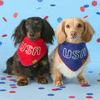 Red USA Knit Dog Bandana