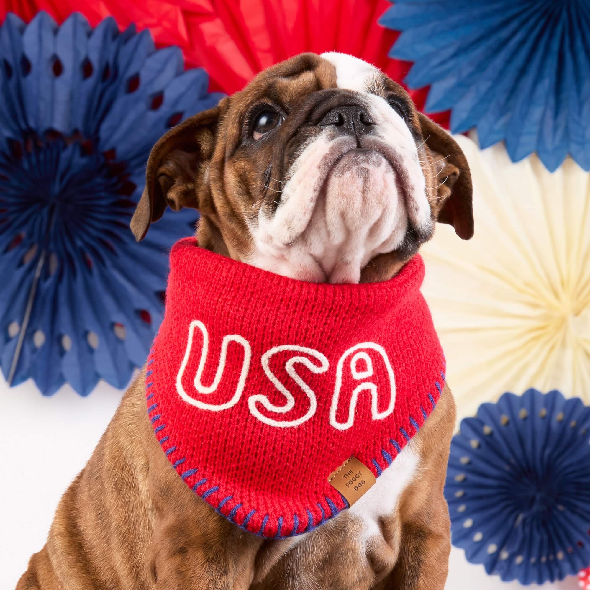 Red USA Knit Dog Bandana