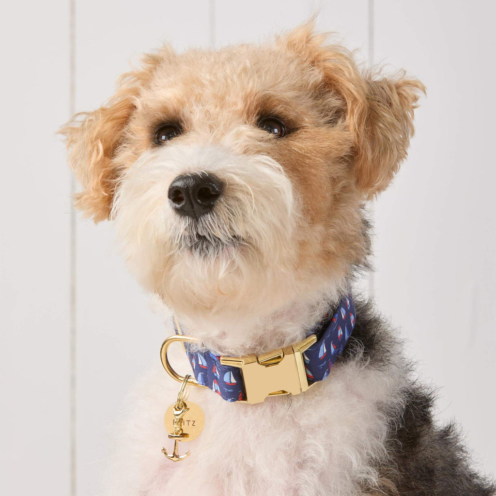 Regatta Dog Collar