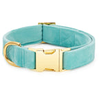 Robin’s Egg Velvet Bow Tie Collar