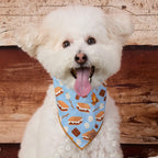 S’more to Love Dog Bandana