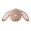 Bunny 2-in-1 Bounce Dog Toy
