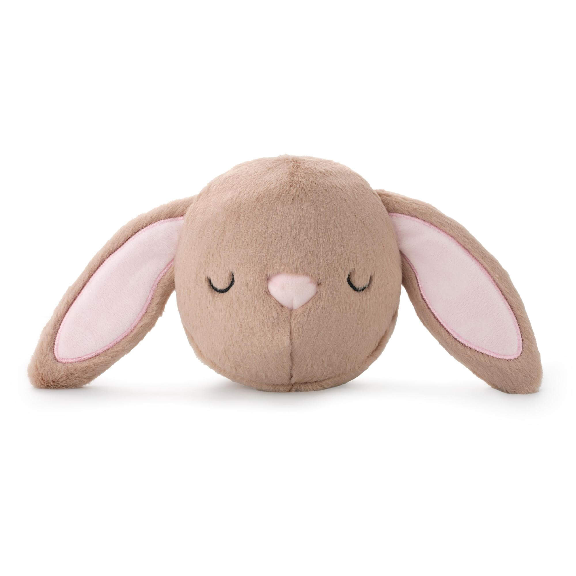 Bunny 2-in-1 Bounce Dog Toy