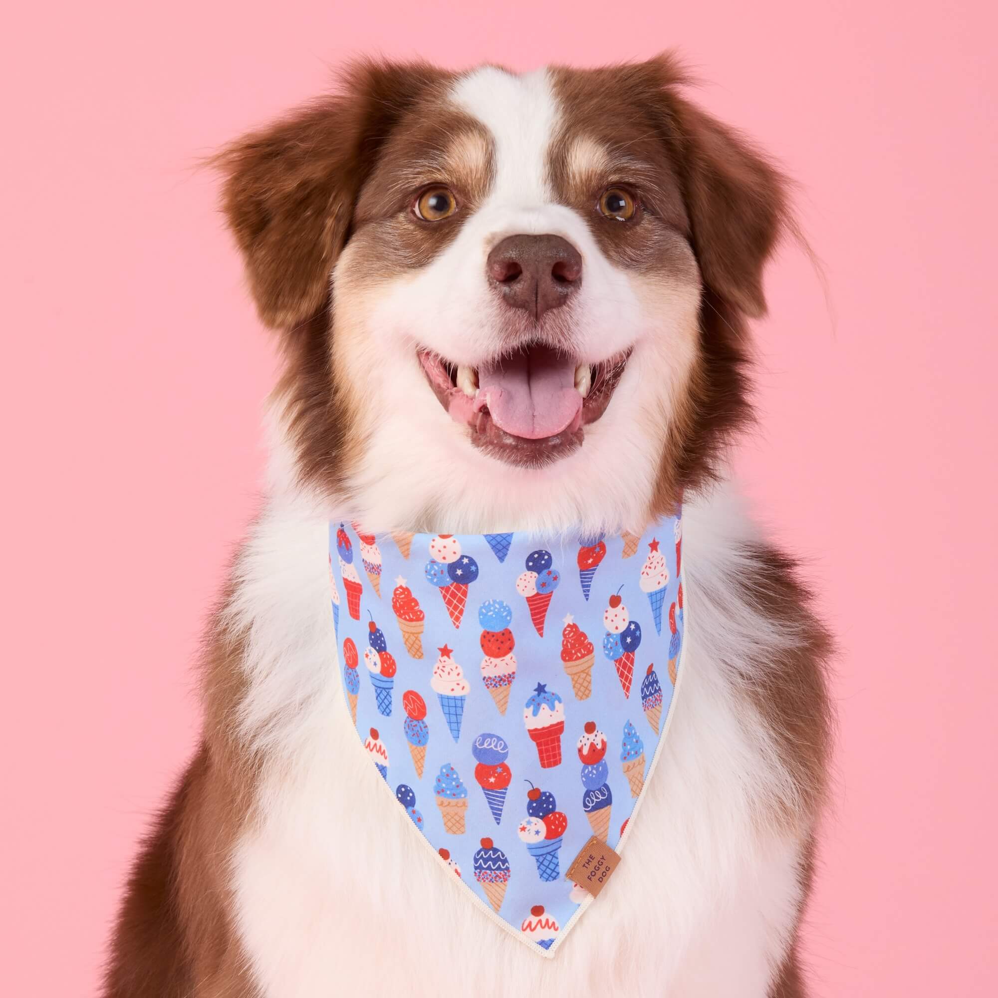 Star-Spangled Scoops Dog Bandana