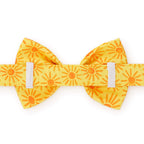 Here Comes the Sun Bow Tie Collar