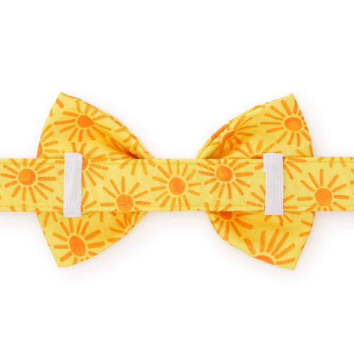 Here Comes the Sun Dog Bow Tie