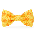 Here Comes the Sun Dog Bow Tie