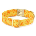 Here Comes the Sun Dog Collar