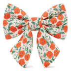 Golden Poppies Lady Dog Bow