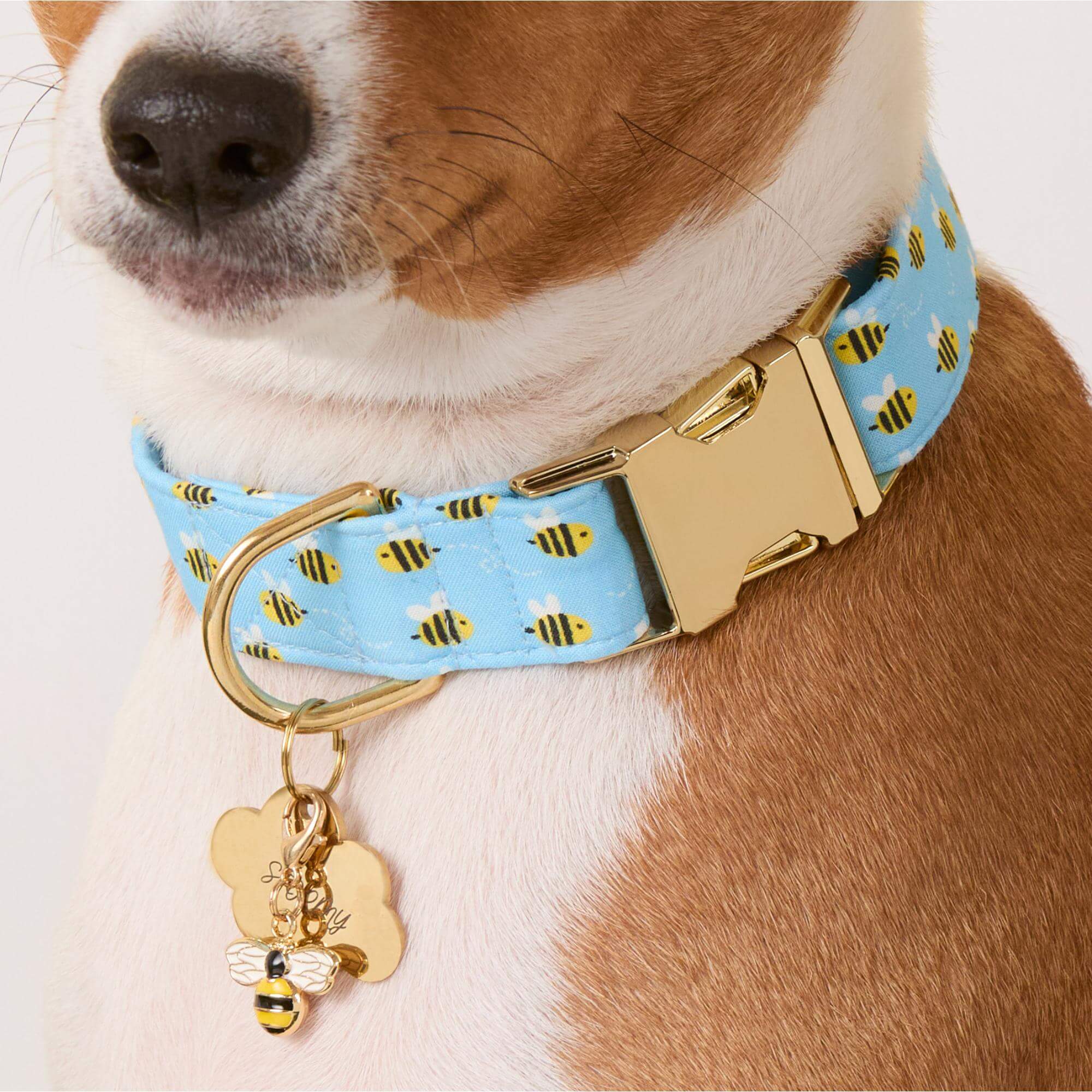 Sweet as Honey Collar Charm Set