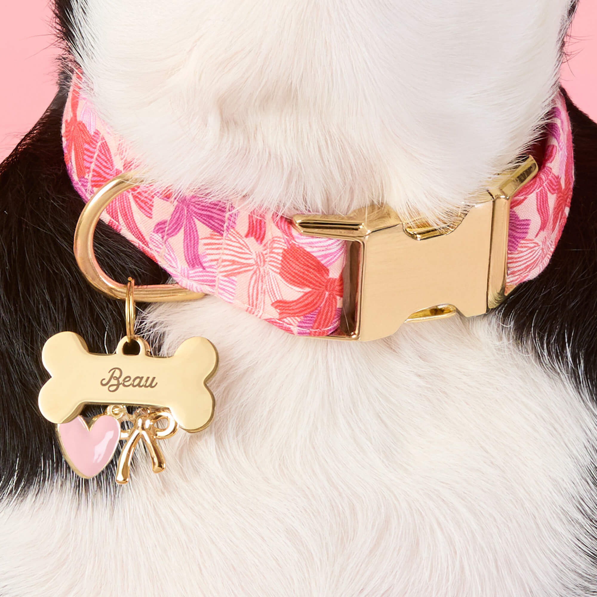Bone Pet ID Tag