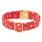 Berry Sweet Dog Collar